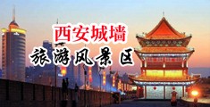 黑吊肏中国陕西-西安城墙旅游风景区