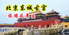 富婆舔阴视频中国北京-东城古宫旅游风景区